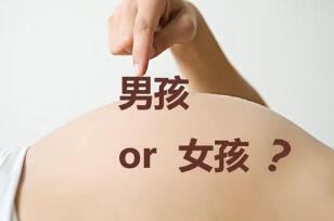 什么提示你懷了男寶寶，B超有兩點基本是男孩